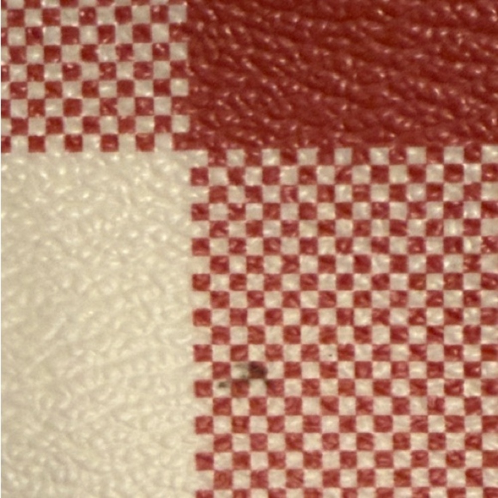 Coach Red and Cream Plaid Tote - Picture 4 of 15